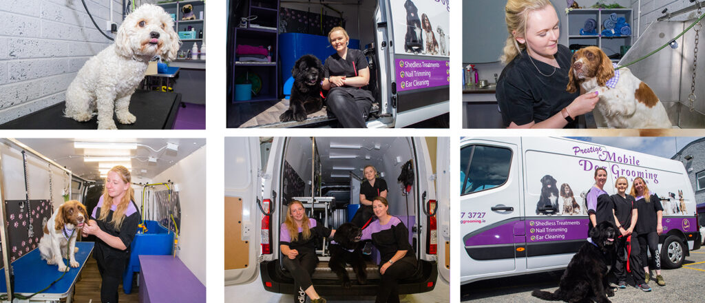 Mobile Grooming - www.prestigemobiledoggrooming.ie